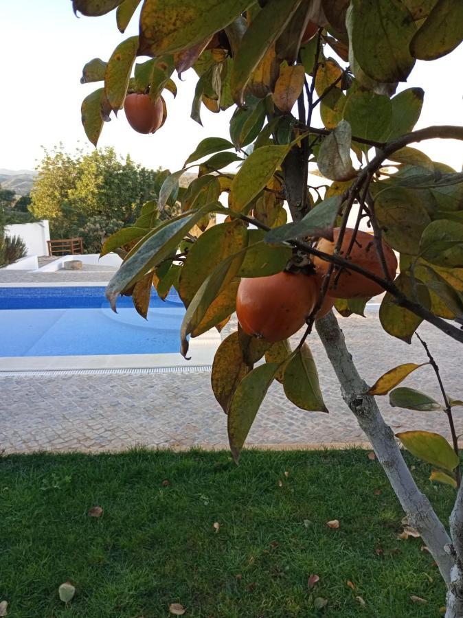 Monte Papa Figos Villa Malhao  Eksteriør bilde